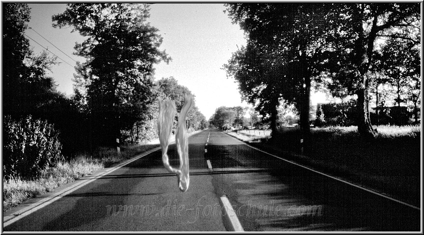 Halstuch Ostsee Strasse_sw.jpg - Wie Du an der Qualität schon sehen kannst, ist auch das wieder ein sehr altes Foto aus meinen Fotoanfangszeiten. Auf einer Landstrasse nahe der Ostsee warfen wir dieses Tuch in die Luft, ich fotografierte es mit meiner alten Spiegelreflex, als wieder runterfiel. Und die ganze Zeit hatte ich Angst, dass ein Auto kommen würde....